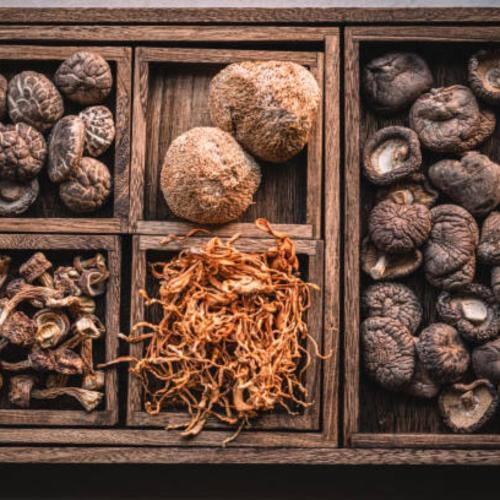 Đông Trùng Hạ Thảo Nguyên Liệu Độc Đáo Trong Những Món Ăn